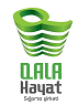 Qala Həyat